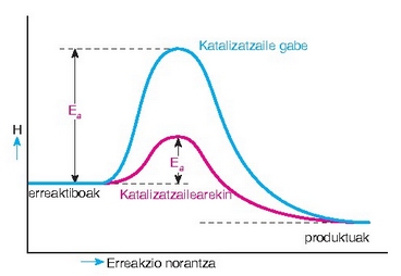 Katalizatzaileak beste konplexu aktibatu baten eraketa behartzen du, aktibazio-energia txikiago batekin. 